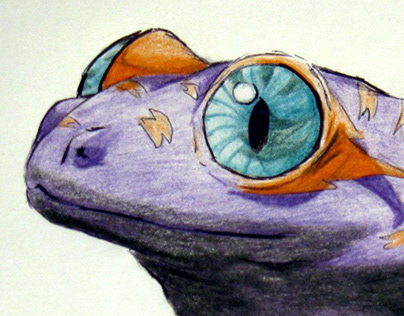 Żaba - kredki/Frog - crayons