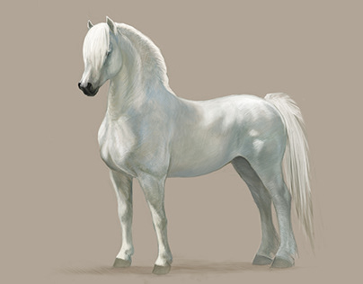 White Horse - Digital Artwork