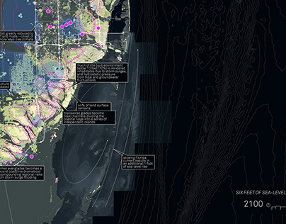 Unplanning Miami: A Sea Level Rise Adaptation Strategy