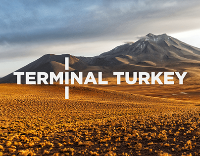 Brand Identity Project: Terminal Turkey