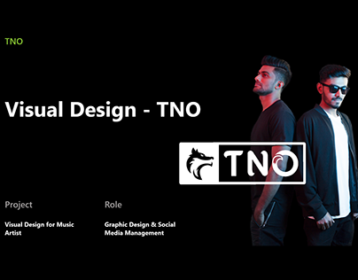 Visual Design for TNO