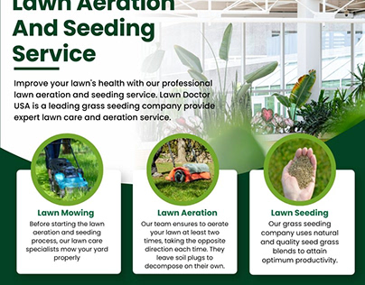 Premium Lawn Aeration and Seeding Service