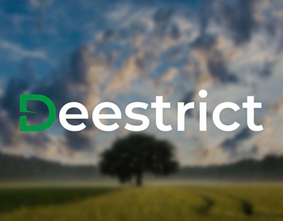 Deestrict - Web design