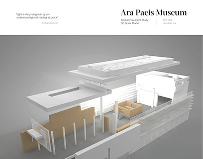 Precedent Study - Ara Pacis Museum