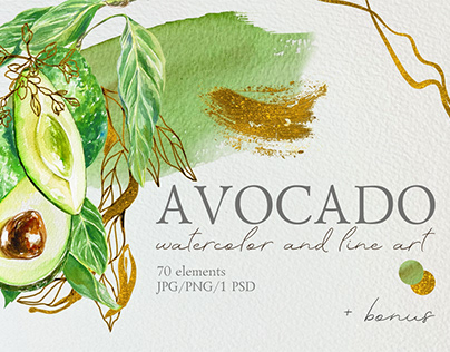 Avocado watercolor clip art