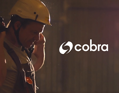 Proyecto Cobra