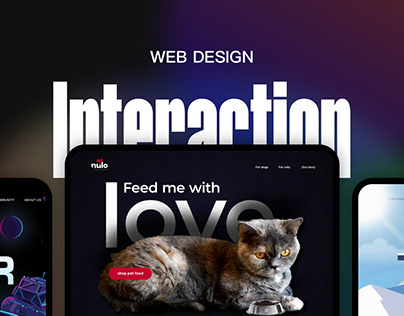 Website Design and Interaction