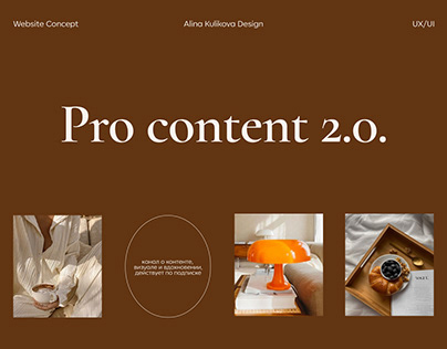 Website design concept | Pro content 2.0.