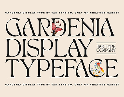 Modern Display Typeface