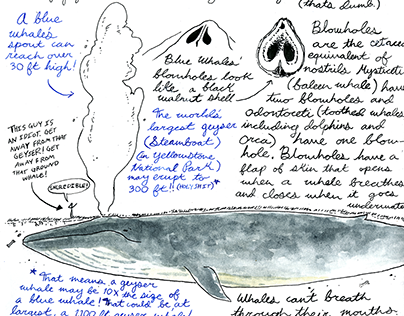 Whale Journal