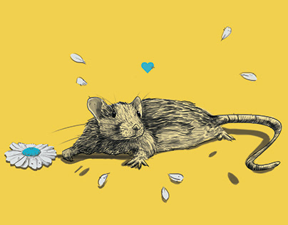 "Rats" Illustrations