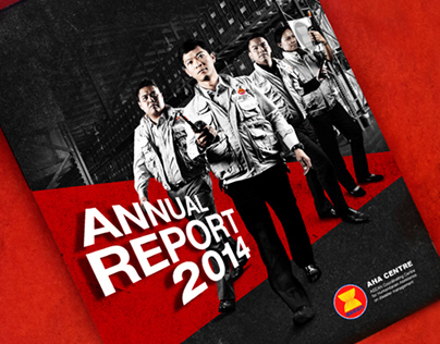 AHA Centre Annual Report 2014