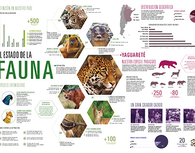 El Estado De La Fauna - Yaguareté