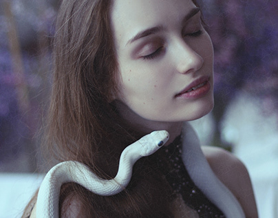 White Snake Dream