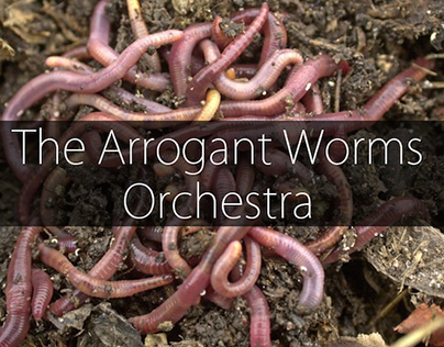 The Arrogant Worms Orchestra
