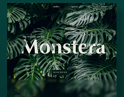 History of the Monstera