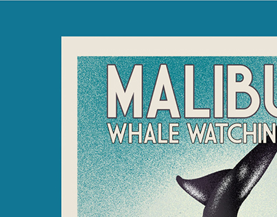 Malibu Whale Watching Poster