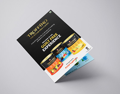 Brochure Design - Troffino