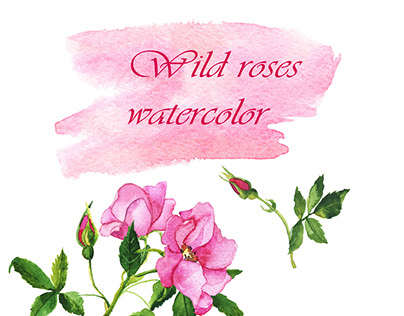Wild roses watercolor
