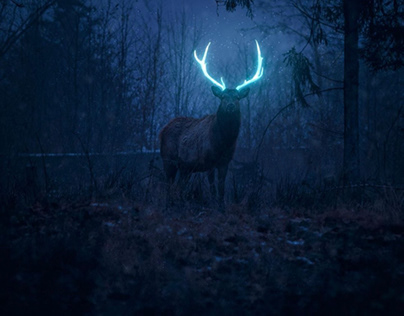 Glowing Deer Photo Manipulation