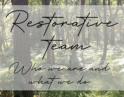 Restorative Team: Who we are and what we do