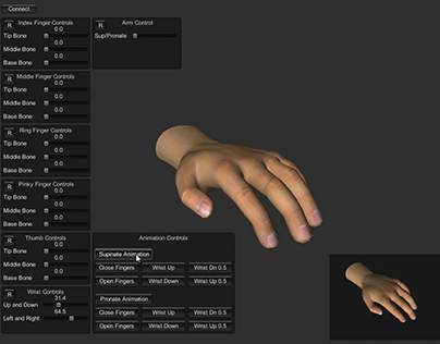 3D Hand Software