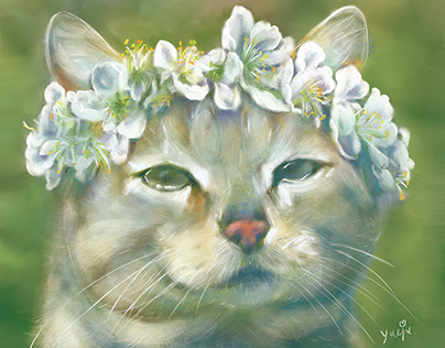 花冠小猫咪 Kitten with flowers