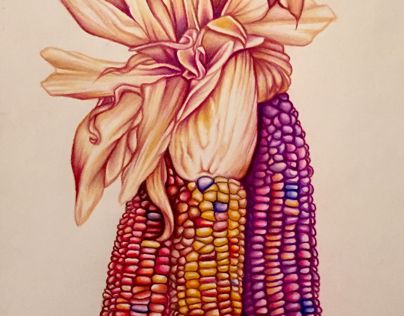 "Indian Corn" completion