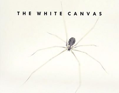 The White Canvas (short film)