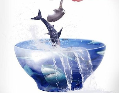 Stop Shark Finning Campaign - Poster