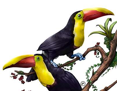 Yellow-throated Toucans Digital Painting