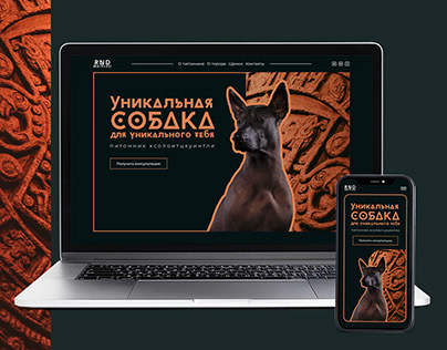 Landing page for xoloitzcuintle kennel