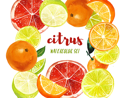 Set of watercolor citrus fruits