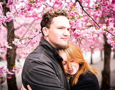 Cherry blossom portraits in Stockholm