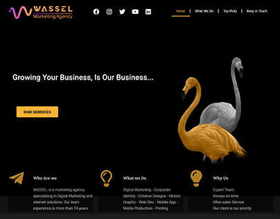 Waasel Marketing Agency Website