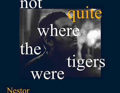 Nestor Middleton-Not Quite Where The Tigers Were (2015)