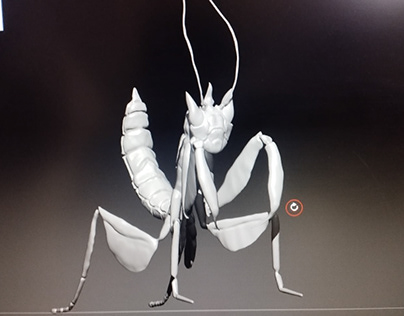 3D character ( Mantis )