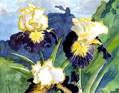 Superhero Iris: Botanical Illustration