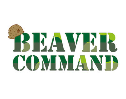 Beaver command ( Character Desing)