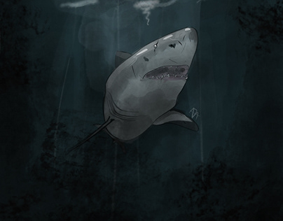 Dark do desafio SharkWeek