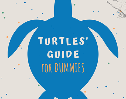 Turtle's guide for dummies