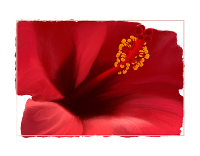 Opera flowers. Digital art paintings