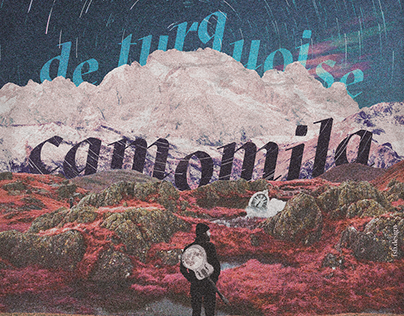 De Turquoise's Camomila concert poster