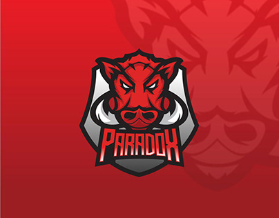 Paradox ESport | Brand Identity