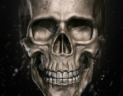 Skull Madness - 3D Modeling