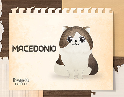 Macedonio cute cat illustration