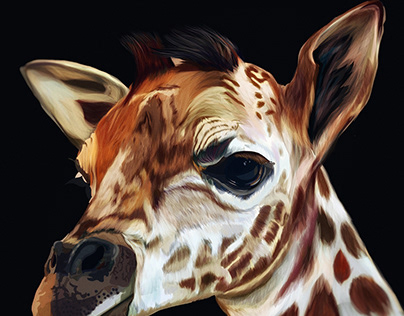 Illustration: Giraffe