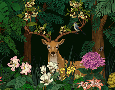 Fawn in Forest