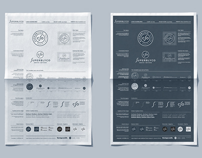 Logo Guidlines Poster Template Download