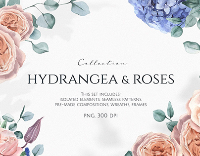 Hydrangea and Roses clipart